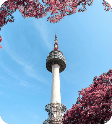 Cosmetic Surgery in Seoul