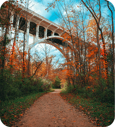 Cardiac Surgery in Miami