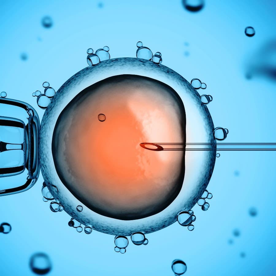 IVF Laboratoriumsdienstleistungen