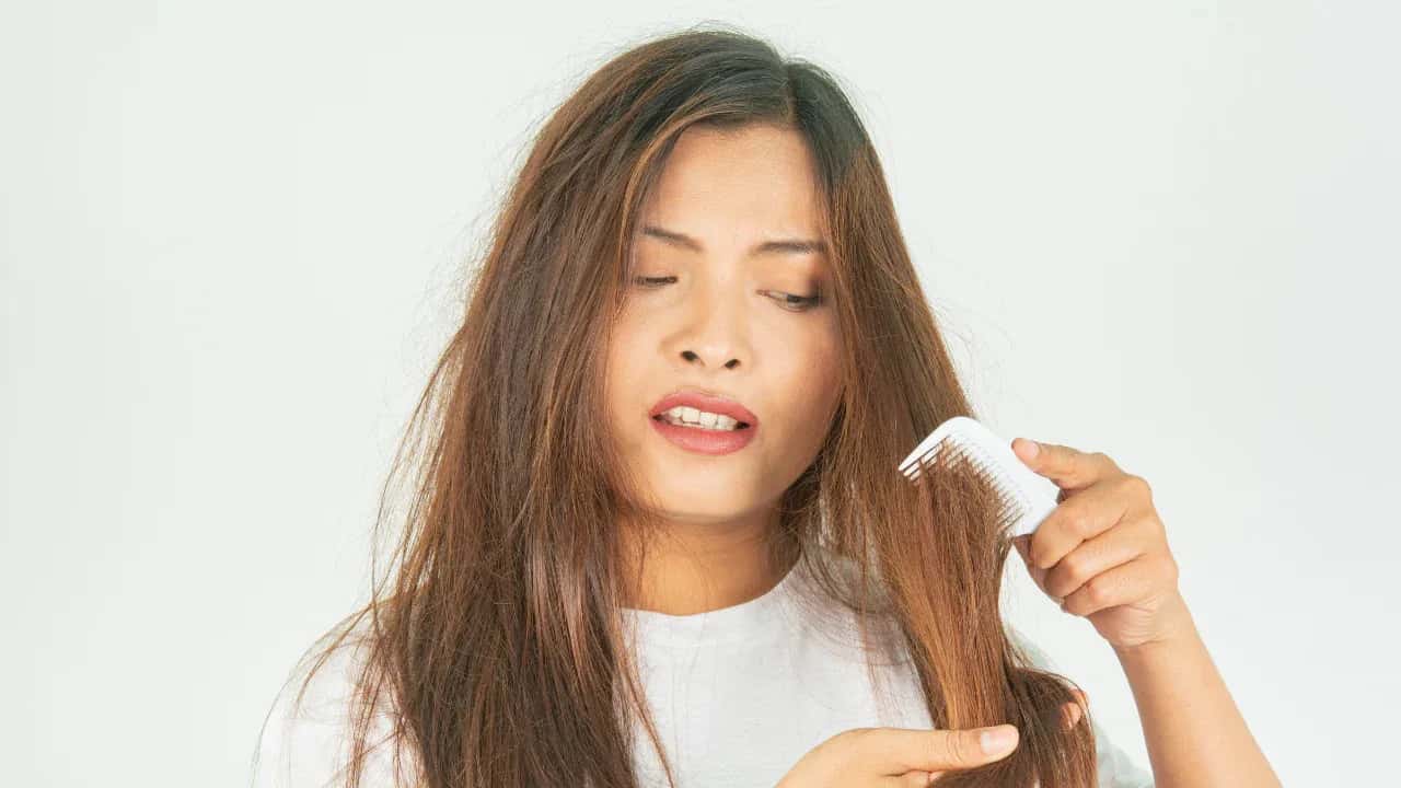 Best Hair Products for Dry Hair 2026