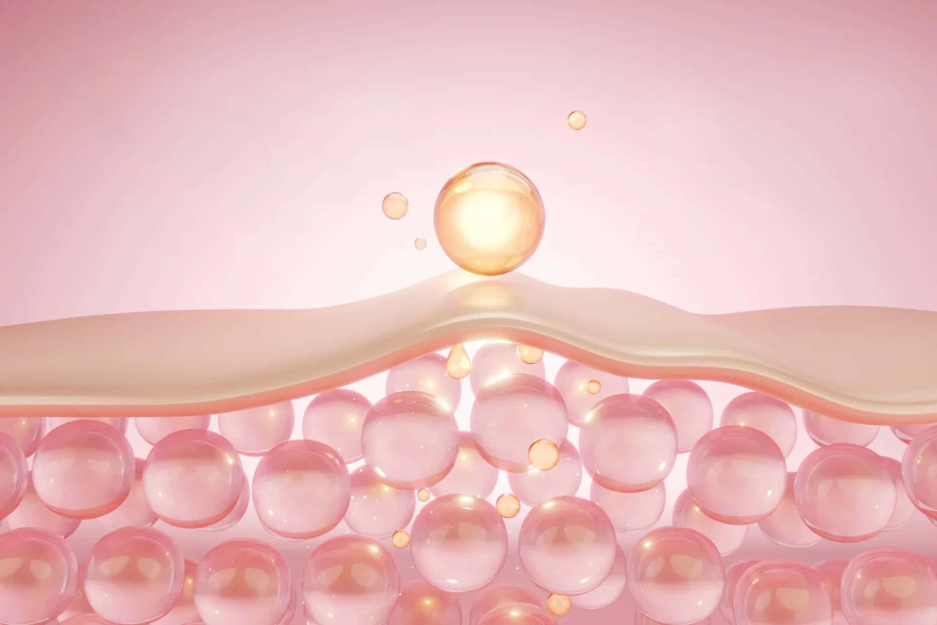 What Is the Skin Barrier? How to Repair a Damaged Skin Barrier?