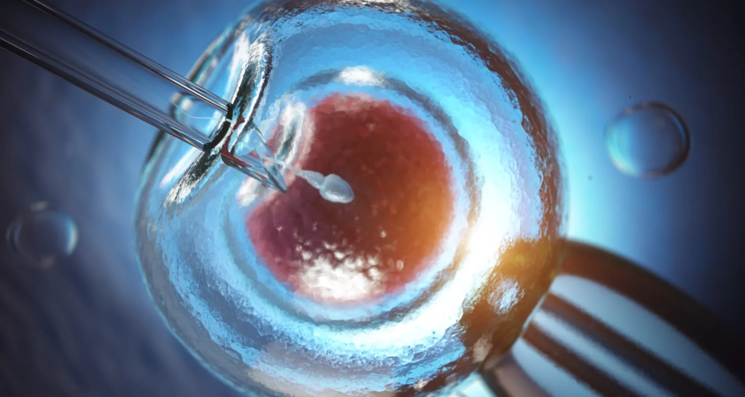 Top 10 IVF Clinics in Turkey