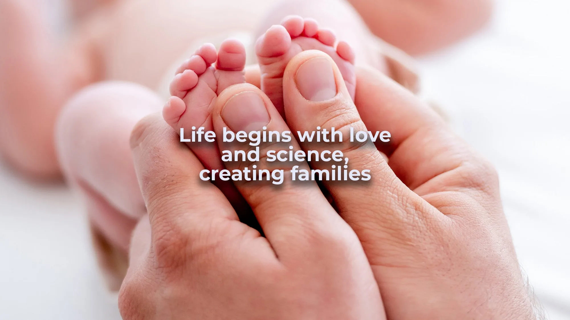Fertility Experts