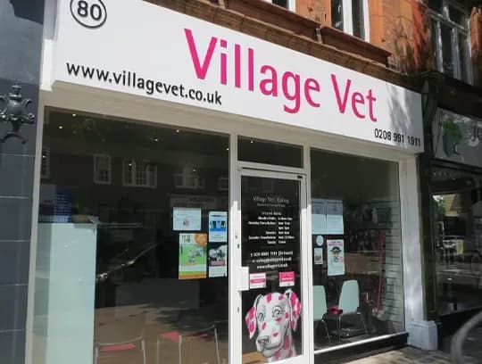 Village Vet - Ealing