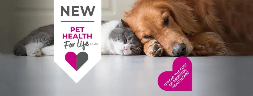 Village Vet - West Hampstead