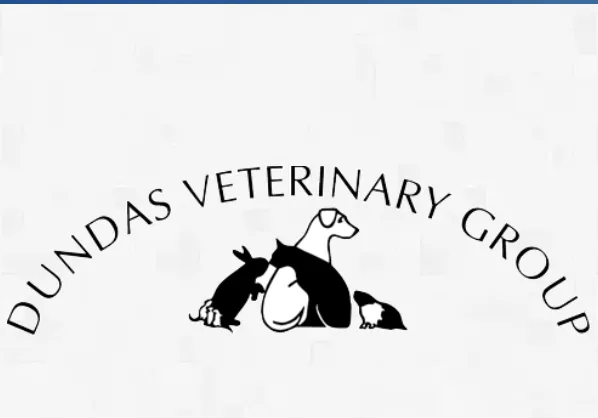 Dundas Veterinary Group