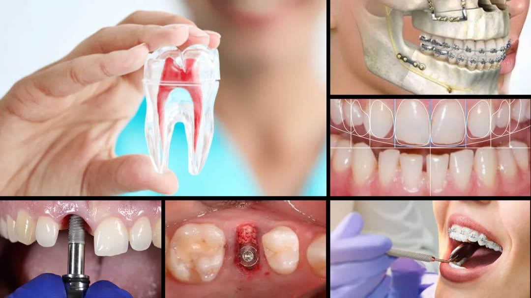 Centro Integral de Especialidades Odontológicas