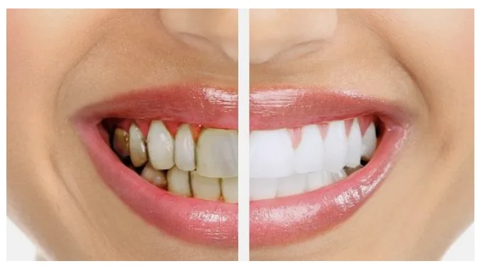 Dental Center
