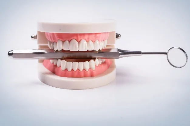White Odontología